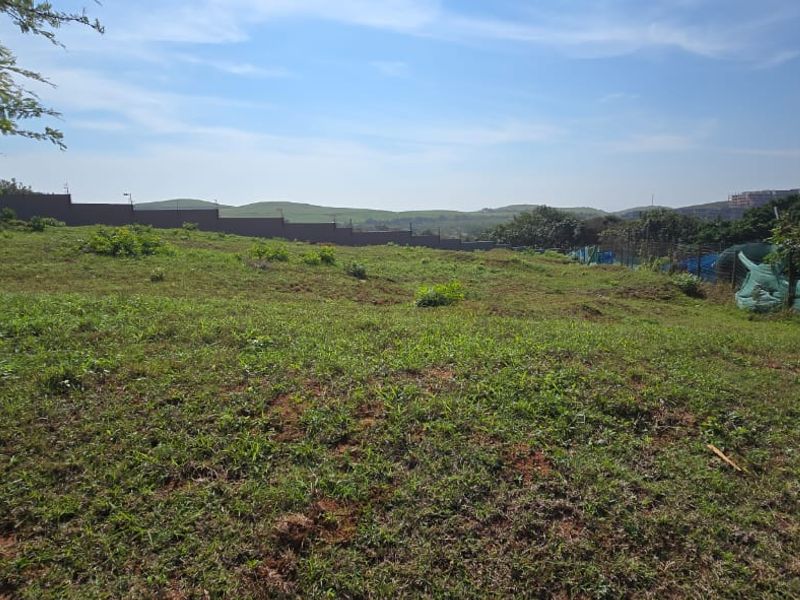 Vacant Land for Sale in Signature Estate – Prime Location - Photo 5