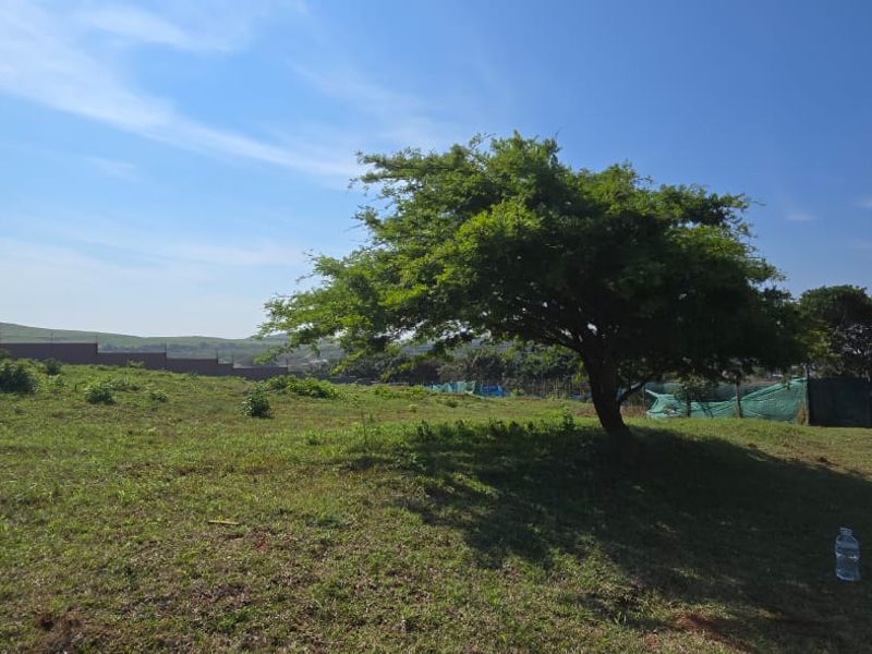 Vacant Land for Sale in Signature Estate – Prime Location - Photo 7