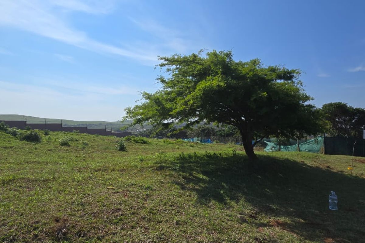 Vacant Land for Sale in Signature Estate – Prime Location - Photo 3