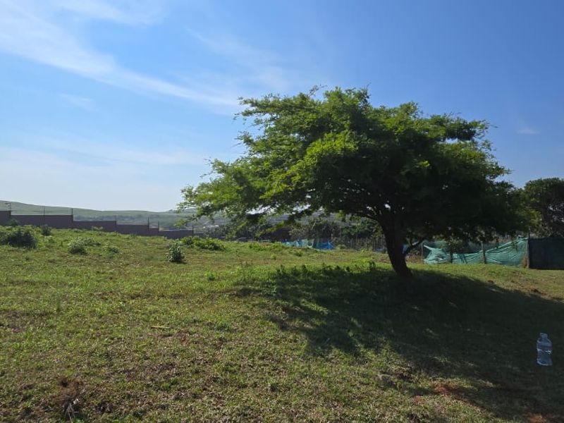 Vacant Land for Sale in Signature Estate – Prime Location - Photo 3