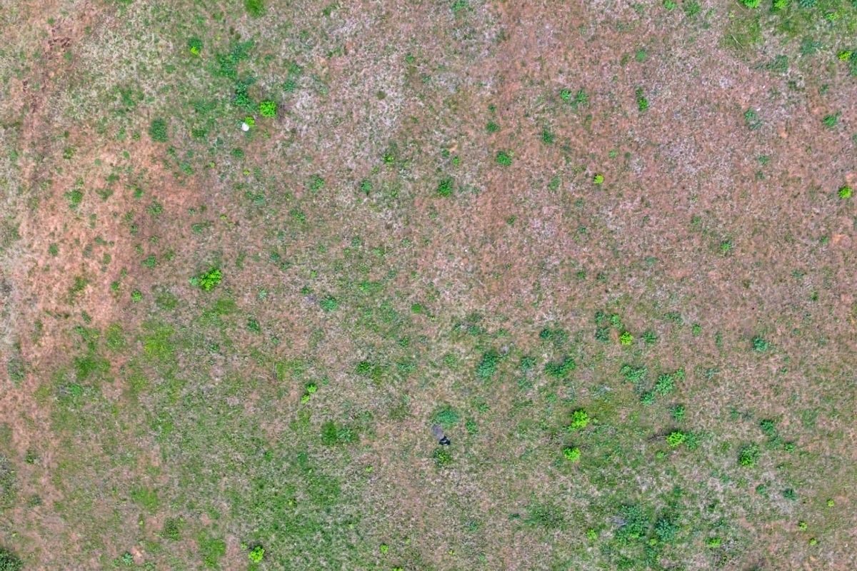 Vacant Land Residential For Sale In Umhlanga - Photo 5