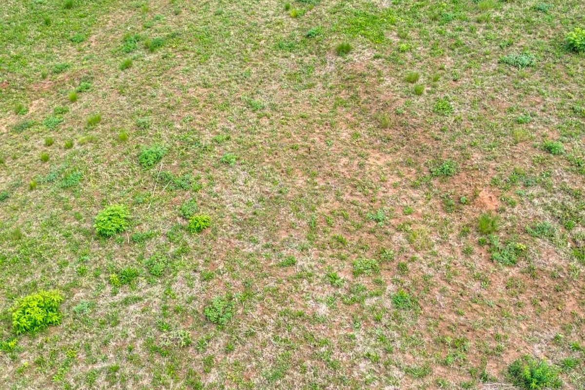 Vacant Land Residential For Sale In Umhlanga - Photo 4