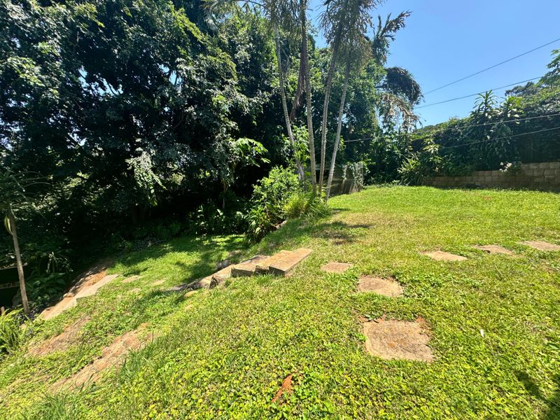 3-Bedroom Family Home For Sale In Park Hill. - Photo 7