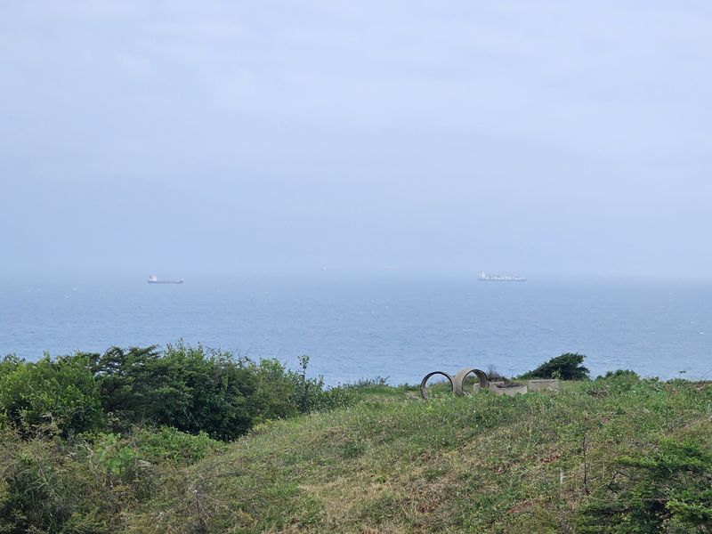 Vacant Land for Sale in Signature Estate - Photo 7