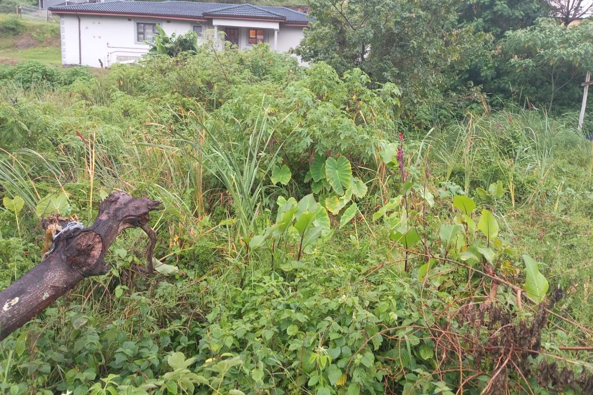 Vacant Land Residential For Sale In Kingsburgh - Photo 3