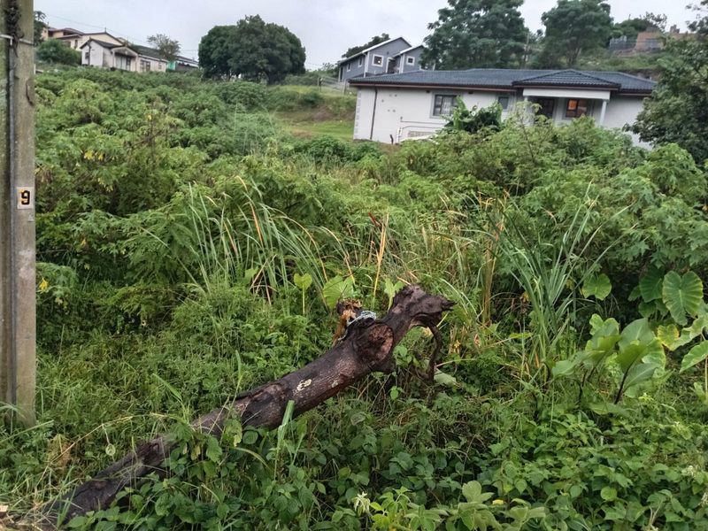 Vacant Land Residential For Sale In Kingsburgh - Photo 10