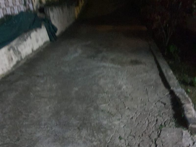 Spacious 2-Bedroom Home in Trenance Park - Photo 4