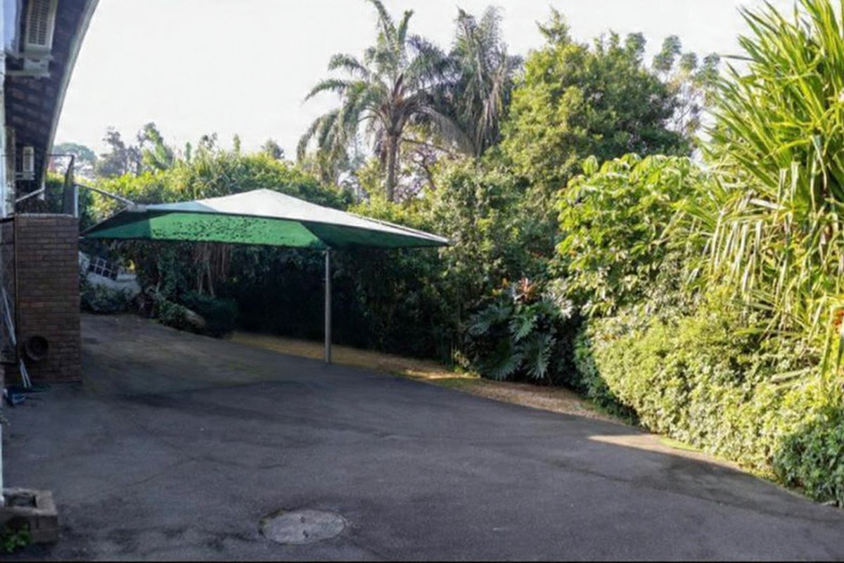 A paved outdoor area featuring a green shade sail, surrounded by established garden greenery and mature trees.