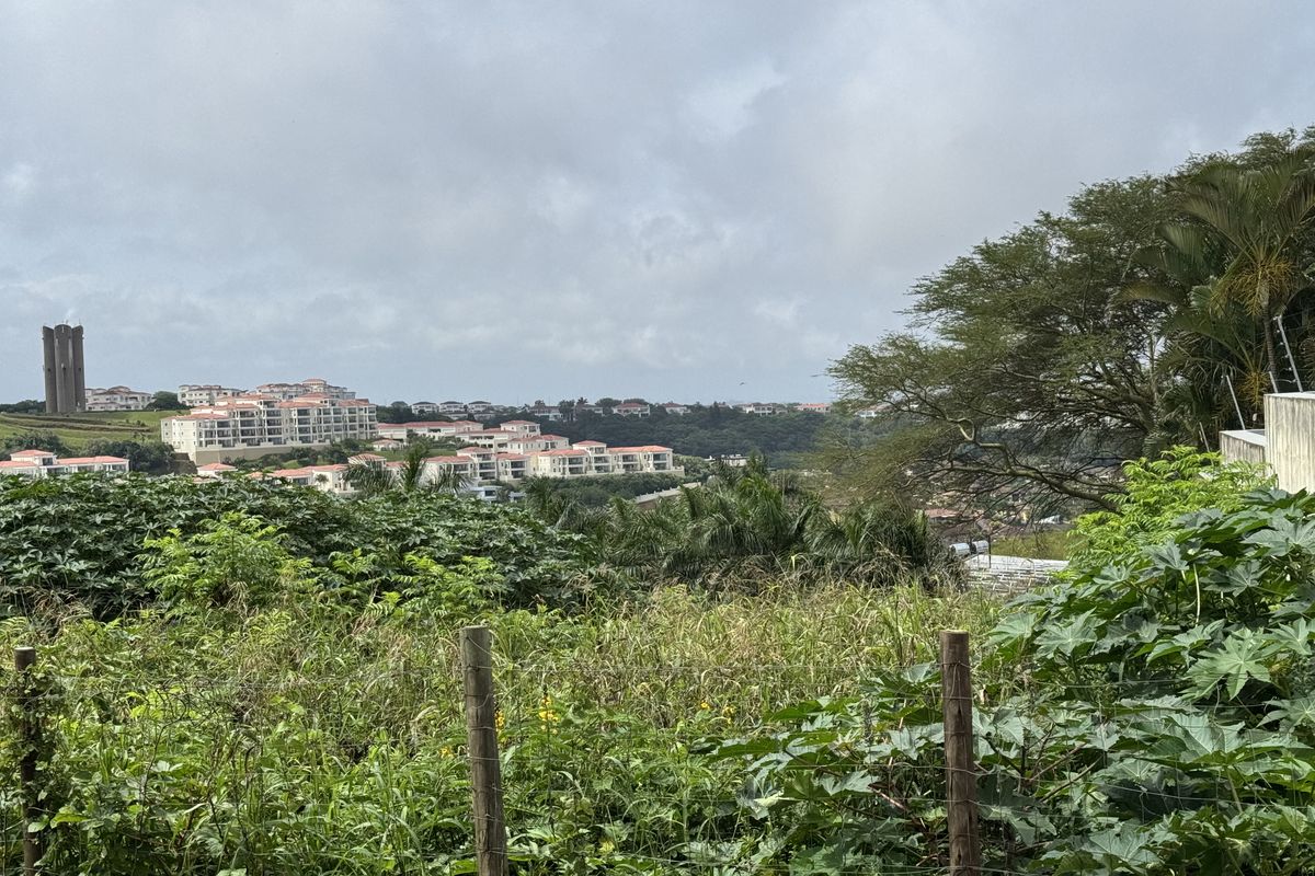 Prime Land For Sale In La Lucia. - Photo 3