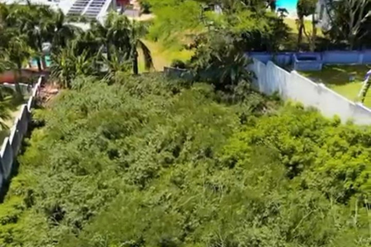 Prime Land For Sale In La Lucia. - Photo 4