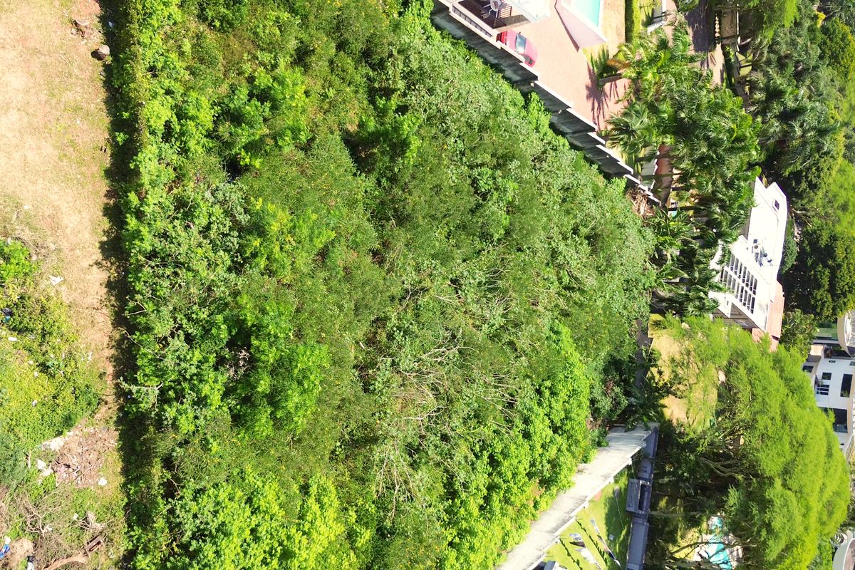 Prime Land For Sale In La Lucia. - Photo 5