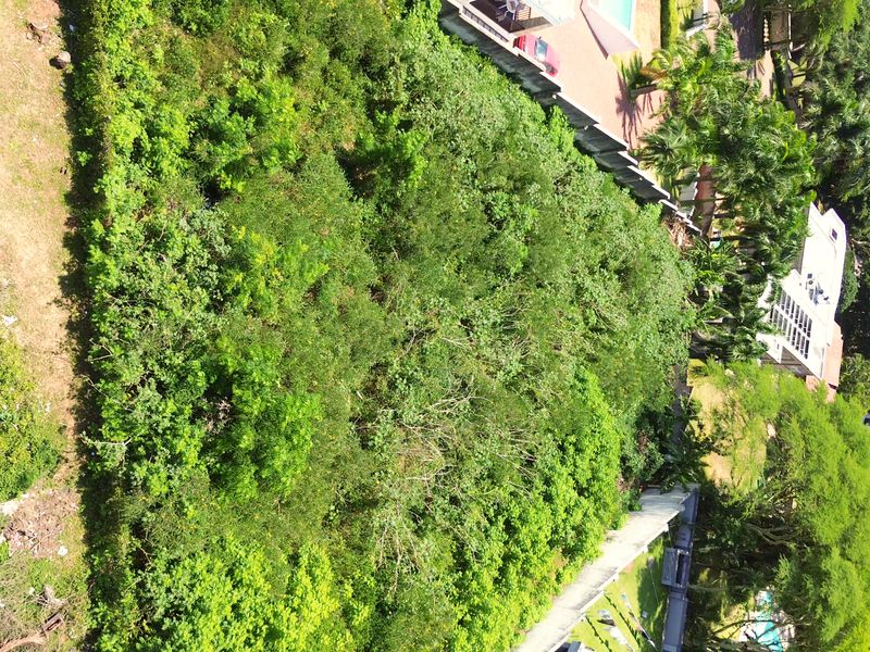 Prime Land For Sale In La Lucia. - Photo 5