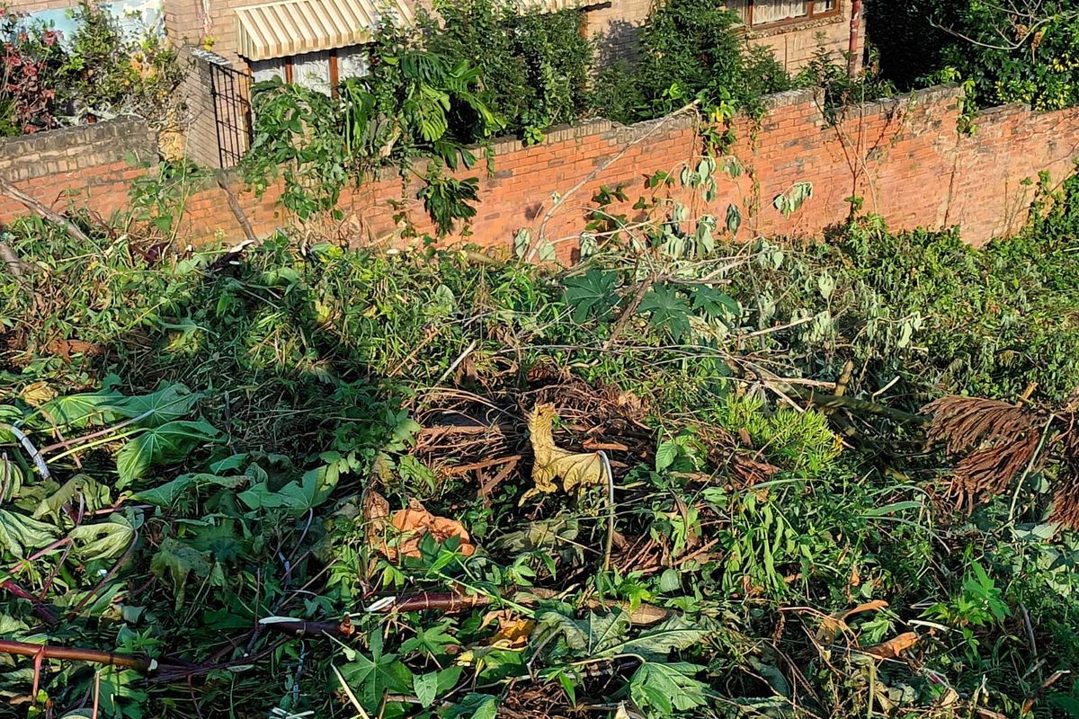 Vacant Land / Plot for Sale in La Mercy. - Photo 2