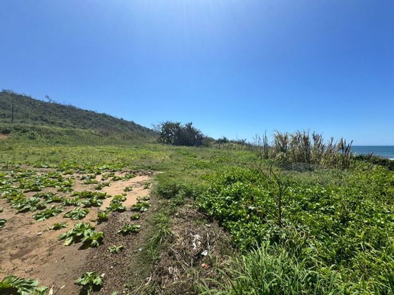 Ocean View Land For Sale - Photo 9