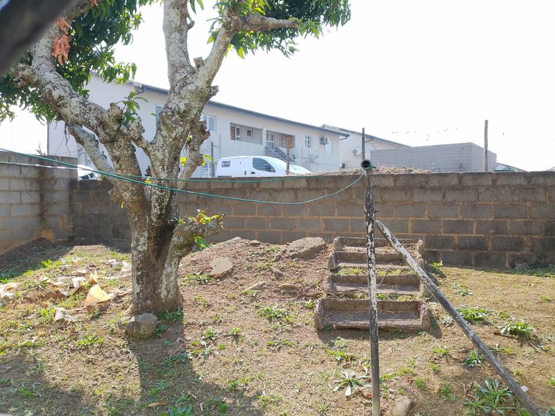 Rear garden area featuring a concrete block boundary wall, mature tree, and weathered concrete steps leading to an elevated section.