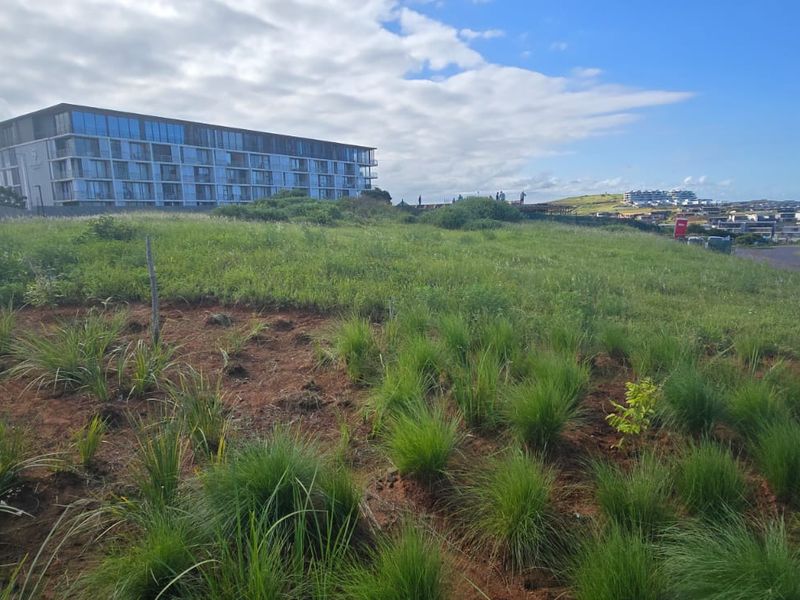 Build your dream home - Signature Estate - Photo 6