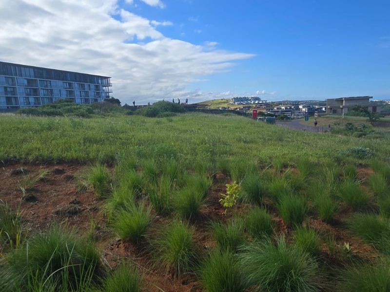 Build your dream home - Signature Estate - Photo 7