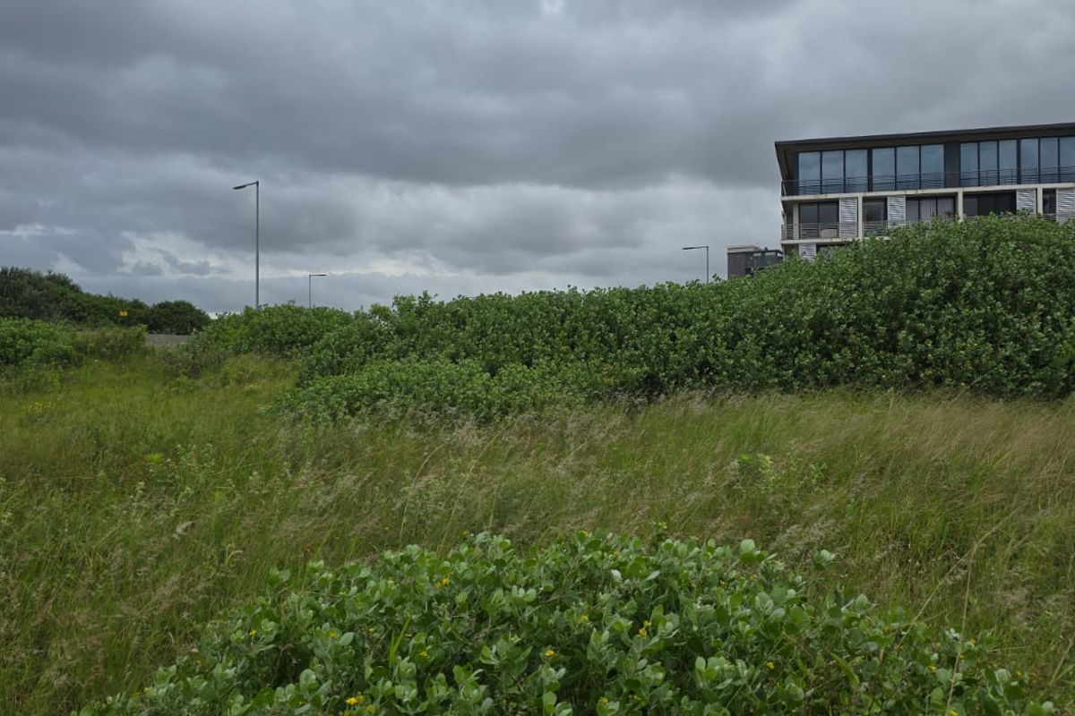 A view of the vacant residential land featuring natural vegetation and proximity to existing residential infrastructure.