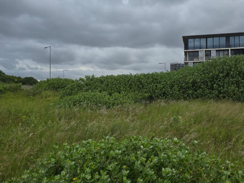 A view of the vacant residential land featuring natural vegetation and proximity to existing residential infrastructure.