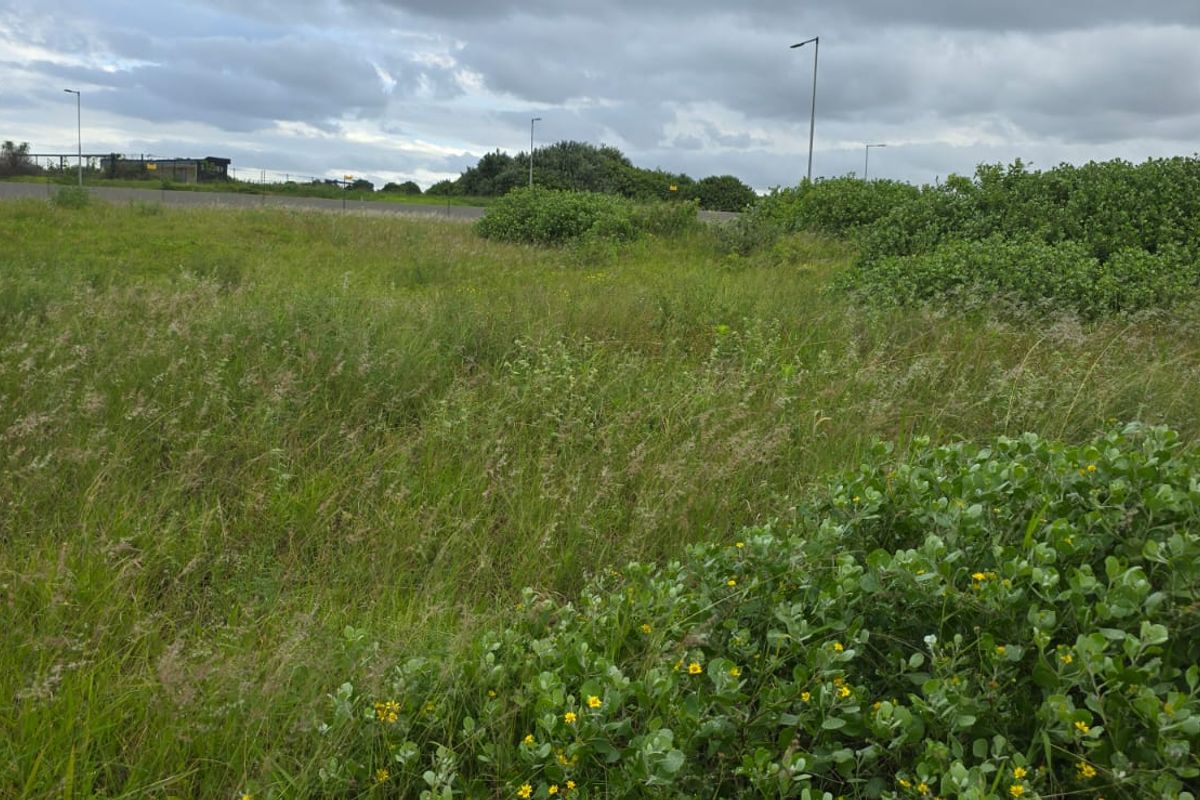 A view of the vacant residential land featuring natural grass, shrubs, and surrounding street infrastructure.
