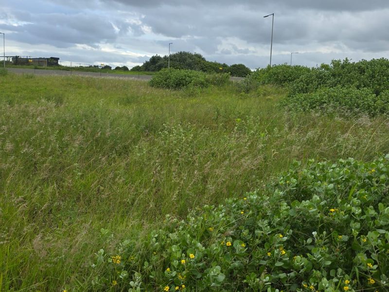 A view of the vacant residential land featuring natural grass, shrubs, and surrounding street infrastructure.