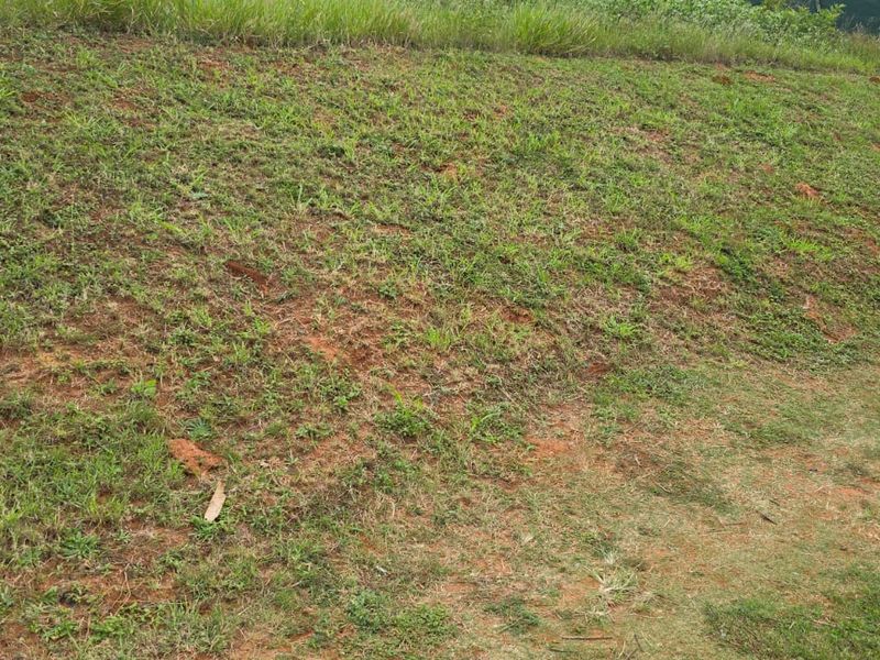 A view of a sloped, grass-covered plot of vacant land with visible soil patches and a utility pipe.