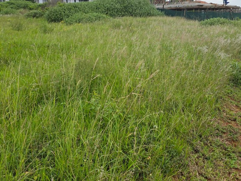 A view of a sloped, undeveloped residential plot covered in natural grass and vegetation.