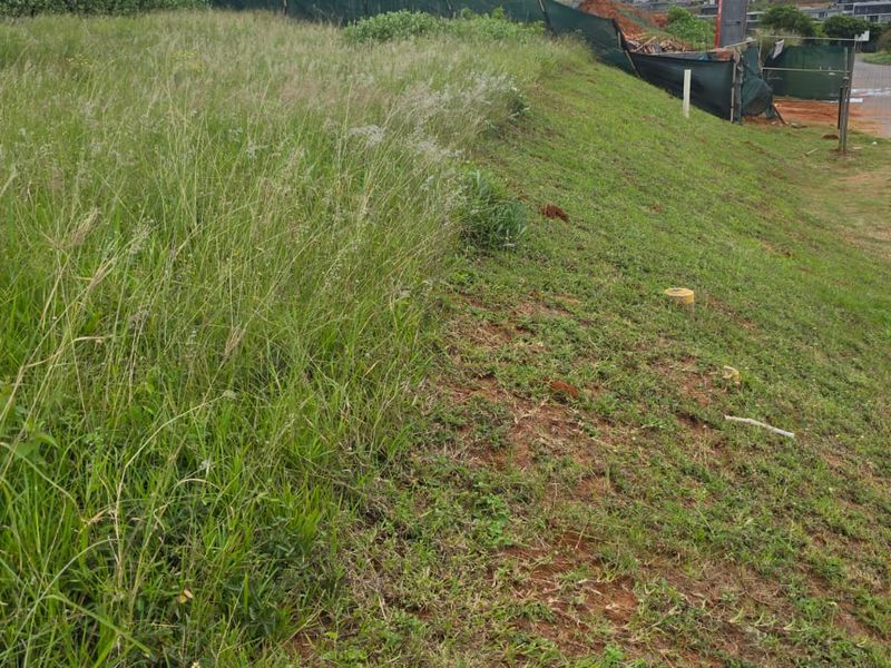 A view of a sloped residential vacant land plot adjacent to a paved road, featuring natural grass cover and boundary fencing.