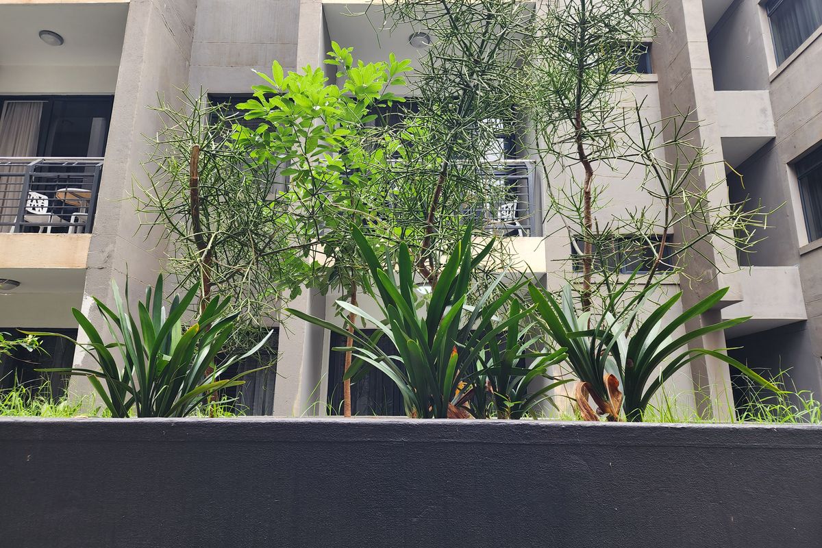 Flat for sale - Photo 2