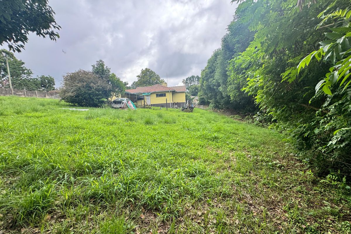 Ideal Development Opportunity. - Photo 3