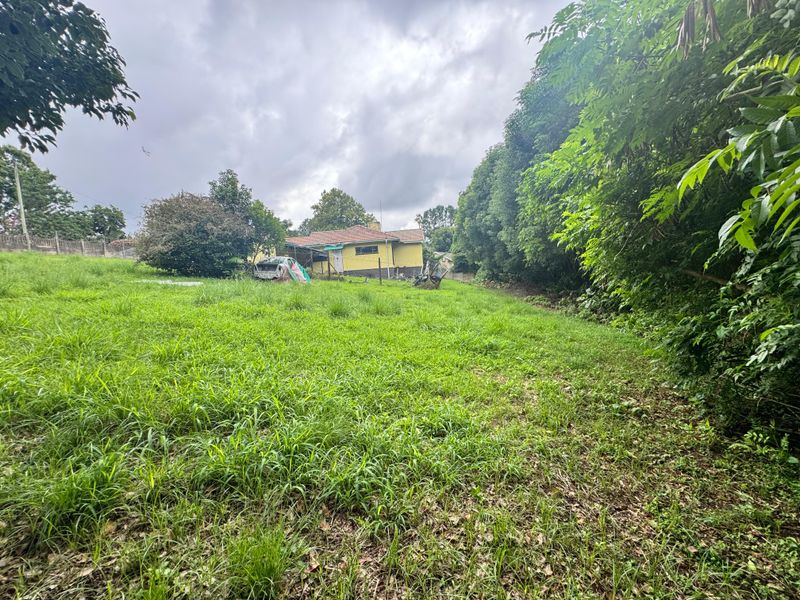 Ideal Development Opportunity. - Photo 3