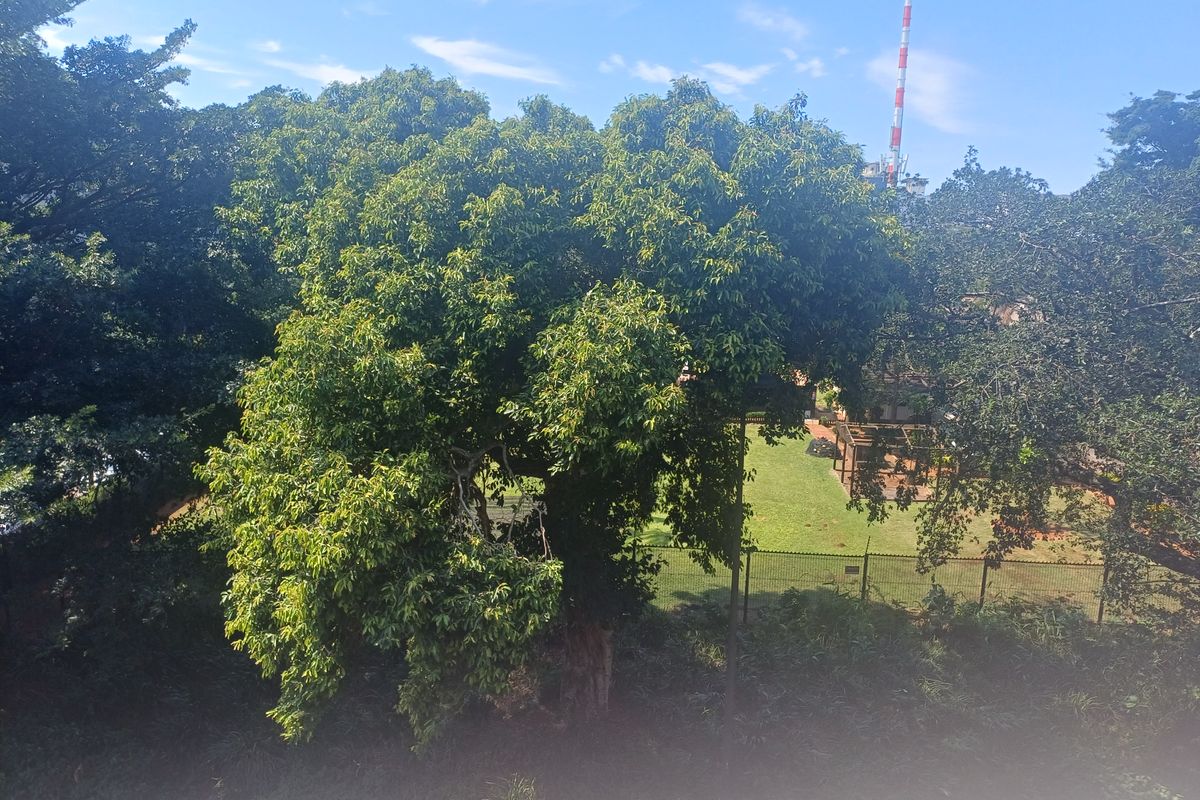 Beautiful 3 bedroom loft apartment with 2 bath 2 parking available for rent in Umhlanga Ridge - Photo 5