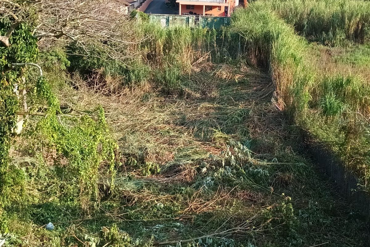 An elevated view of a vacant residential plot featuring cleared ground and surrounding dense vegetation.