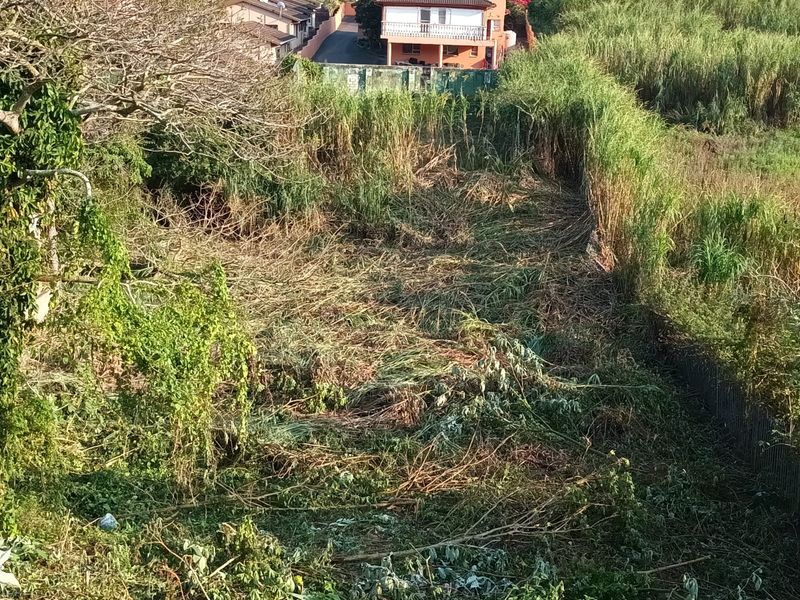 An elevated view of a vacant residential plot featuring cleared ground and surrounding dense vegetation.