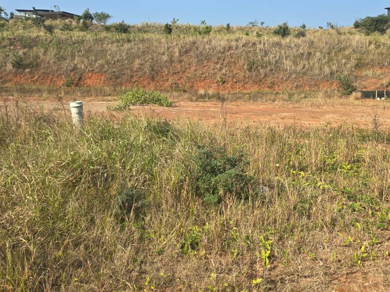 A view of a vacant residential plot featuring natural vegetation, a sloped embankment, and an exposed sewerage inspection pipe.
