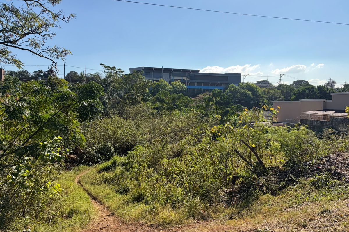 A view of the vacant residential land featuring natural vegetation and a dirt path with surrounding neighborhood buildings in the distance.