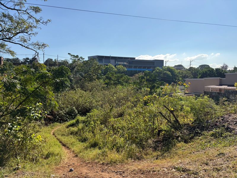 A view of the vacant residential land featuring natural vegetation and a dirt path with surrounding neighborhood buildings in the distance.
