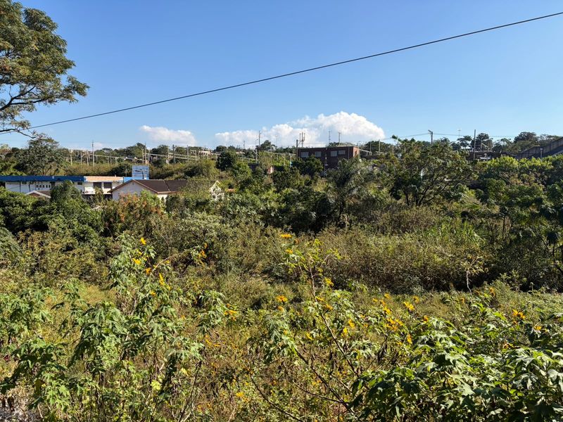 A view of the surrounding landscape and vegetation, showcasing the natural environment and nearby residential structures.
