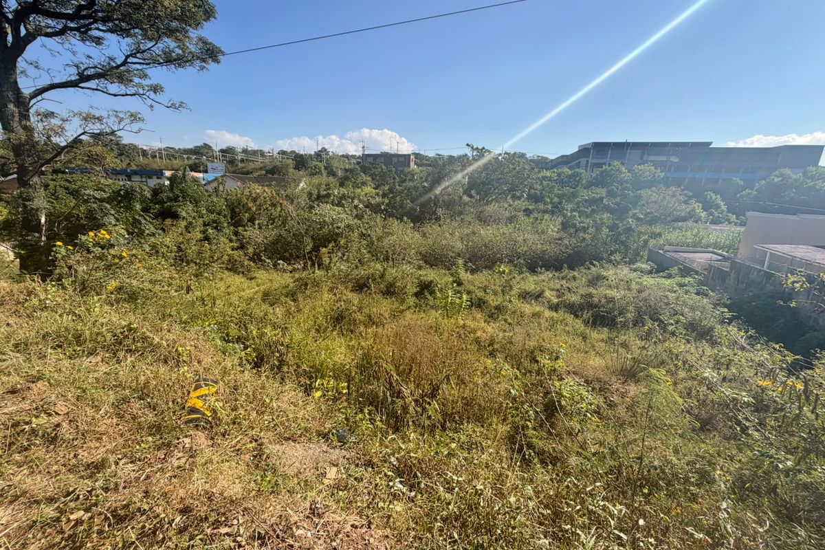 A view of a sloped, undeveloped residential plot featuring mature trees and dense natural vegetation.