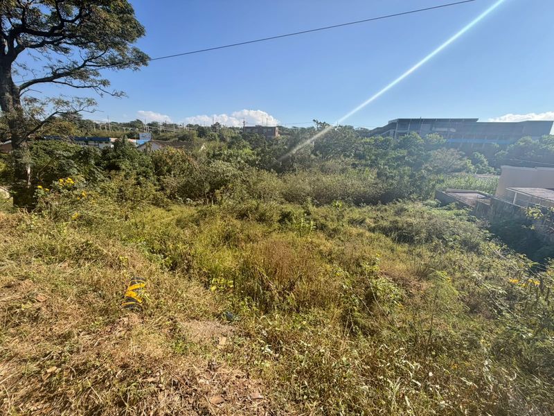 A view of a sloped, undeveloped residential plot featuring mature trees and dense natural vegetation.