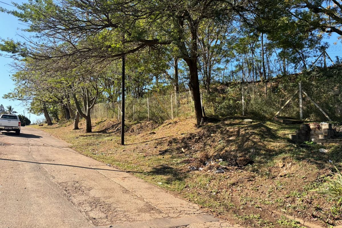 Street-level view of the vacant residential land, featuring established trees, perimeter fencing, and direct access from the paved road.