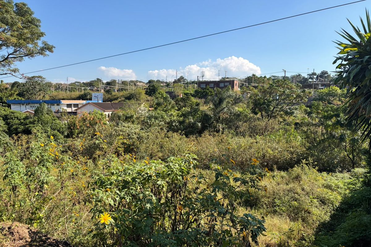 A view of the surrounding landscape and residential neighborhood, showcasing the natural vegetation and terrain of the vacant land.