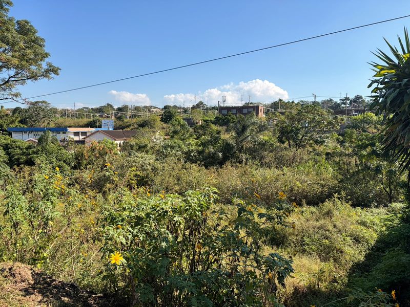 A view of the surrounding landscape and residential neighborhood, showcasing the natural vegetation and terrain of the vacant land.