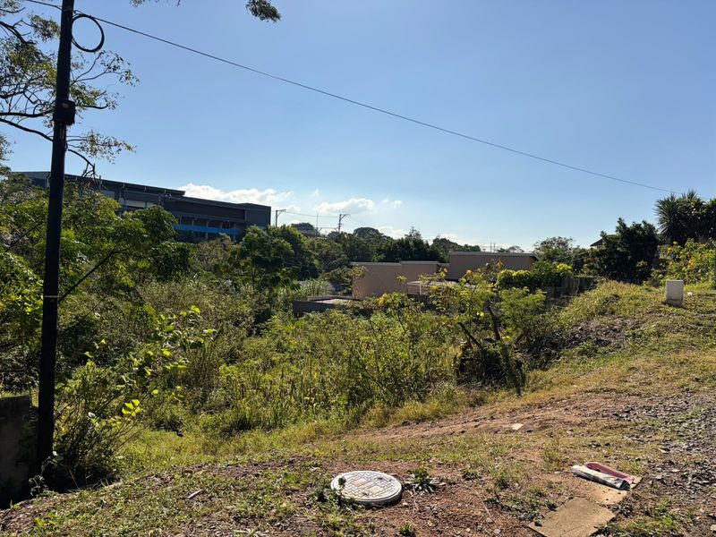 A view of a vacant residential plot featuring overgrown vegetation, a utility pole, and a manhole cover, with surrounding neighborhood buildings visible.