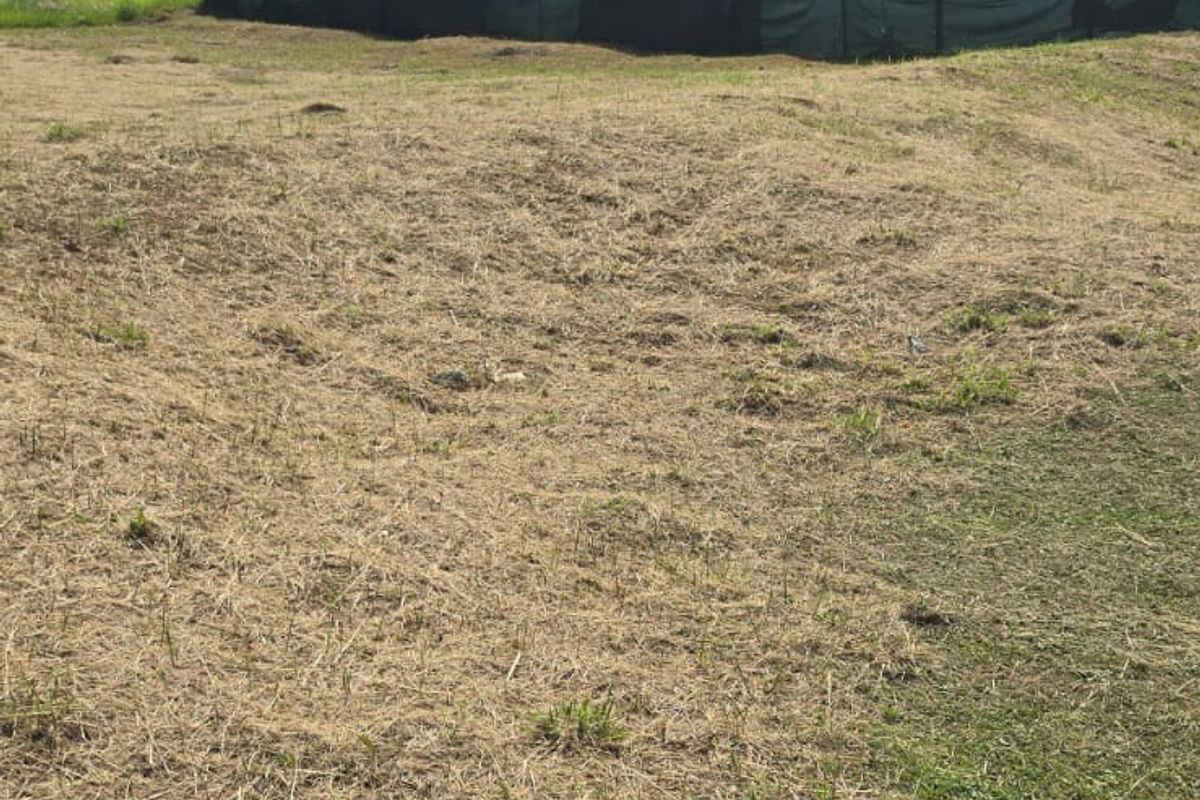 A view of a vacant residential plot with grassed terrain, showing neighboring modern construction in the background.