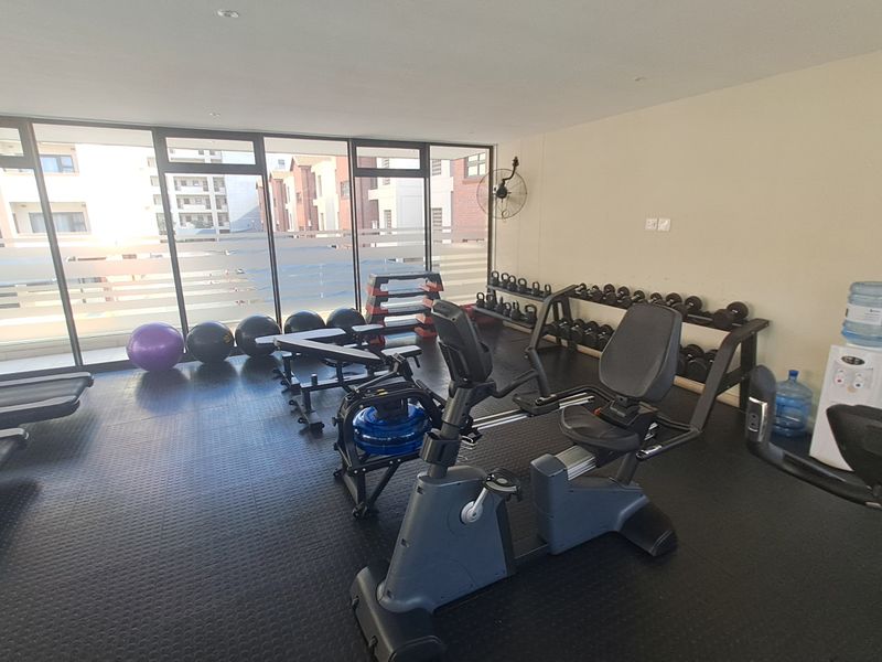 A well-maintained apartment gym featuring durable rubber flooring, floor-to-ceiling windows providing natural light, and a wall-mounted fan for ventilation.
