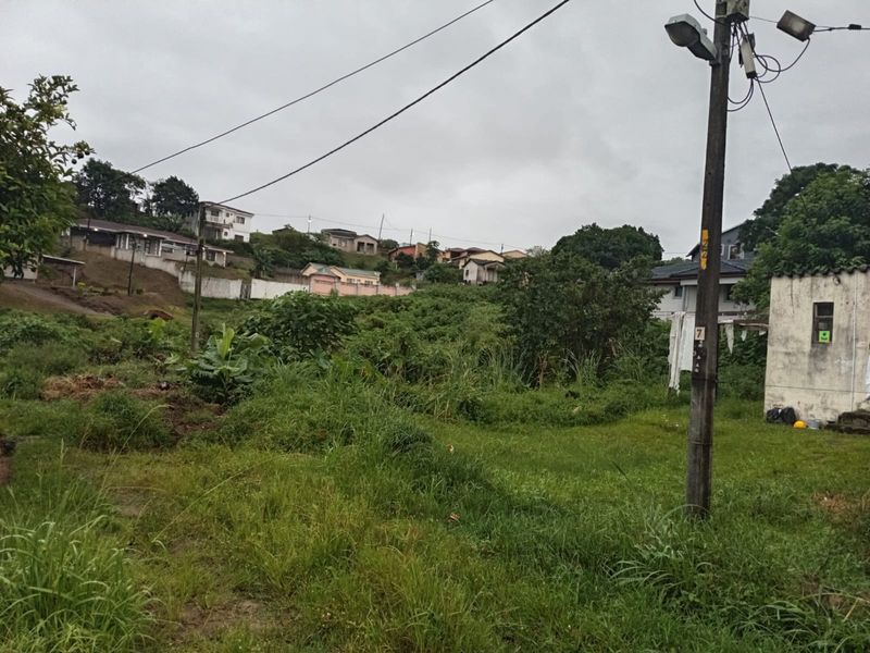 A view of a vacant residential plot featuring overgrown grass and vegetation, with a utility pole and overhead power lines present on the site.