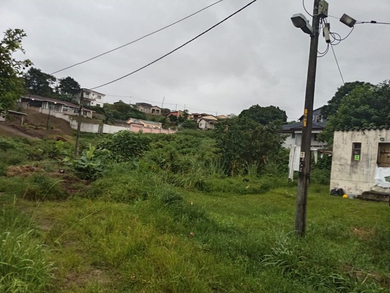 A view of a vacant residential plot featuring overgrown vegetation, utility infrastructure, and surrounding neighborhood housing.