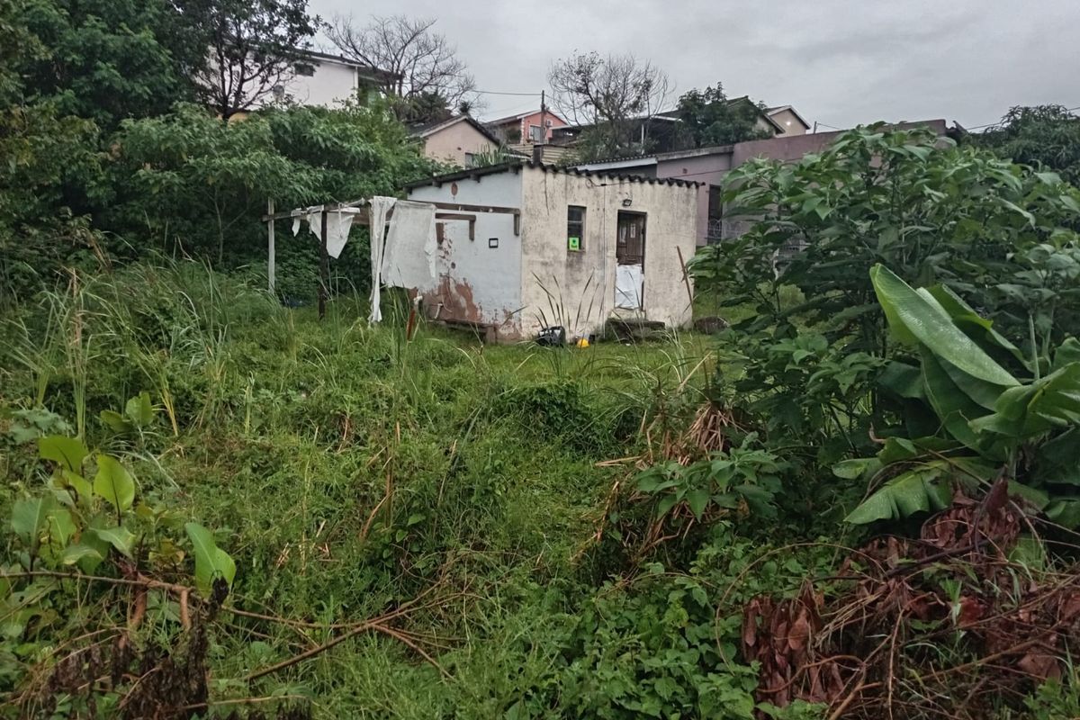 A view of a small, weathered outbuilding situated on an overgrown residential plot, showing significant signs of exterior wear and maintenance requirements.