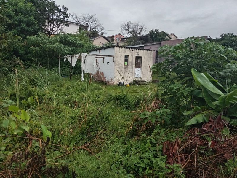 A view of a small, weathered outbuilding situated on an overgrown residential plot, showing significant signs of exterior wear and maintenance requirements.